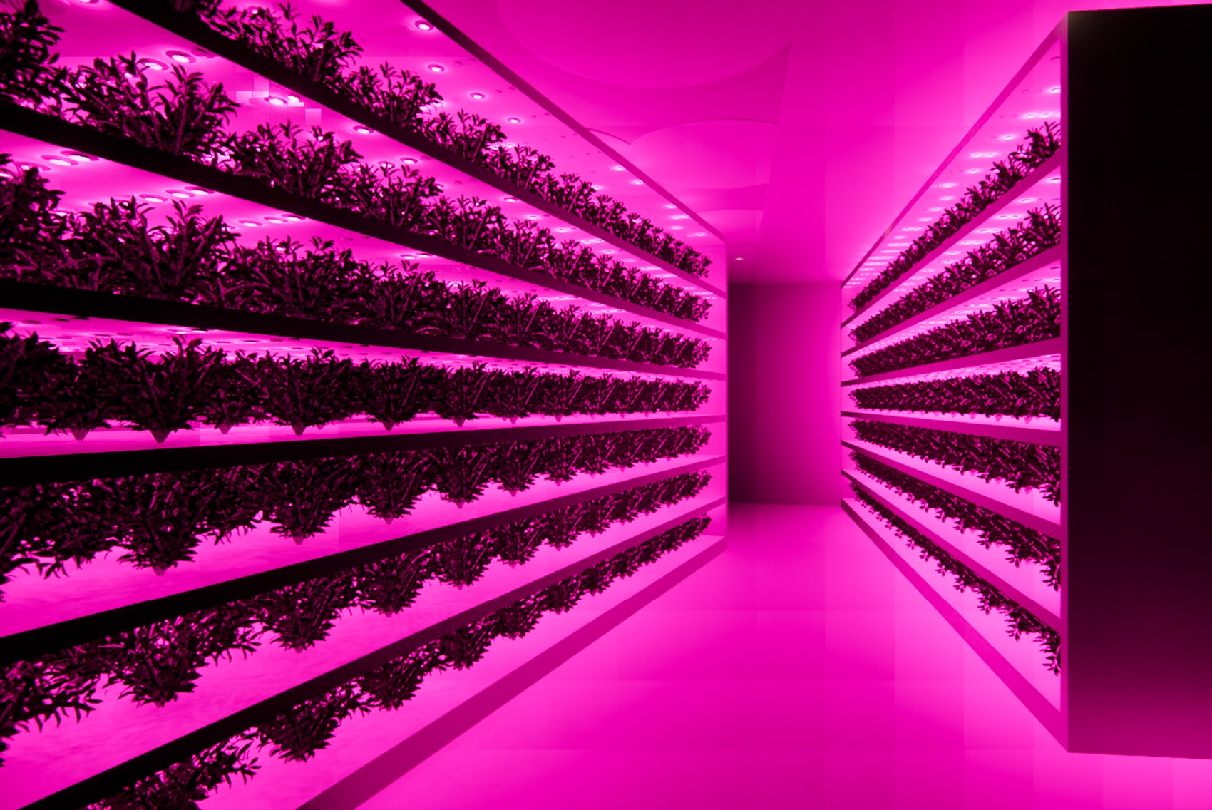 Agritecture — view